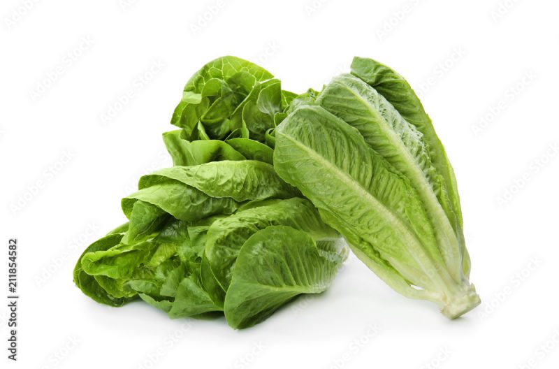 Fresh ripe cos lettuce on white background