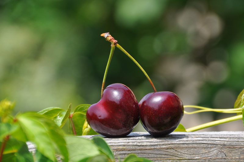 Close up photography of a red cherry fruit