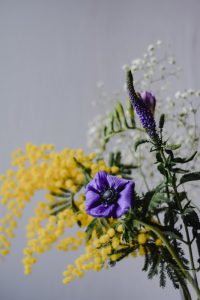 Purple flowers in close up photography