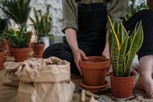 Person in gray t shirt and blue denim jeans sitting on brown clay pot