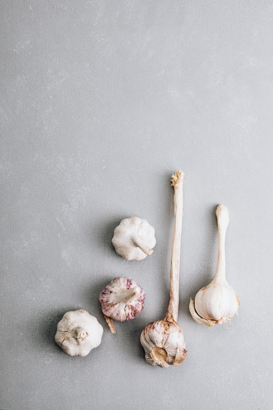 Bulbs of garlic on a gray surface