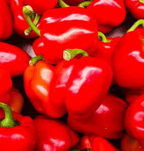 Bundles of red bell peppers