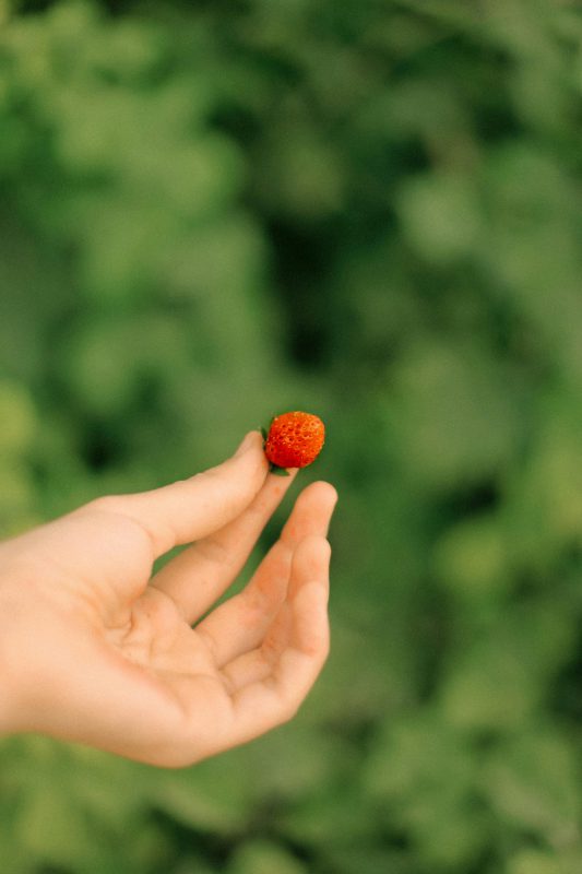 Close up of a woman holding a wild strawberry