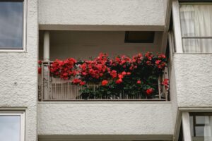 kwiaty doniczkowe na balkon